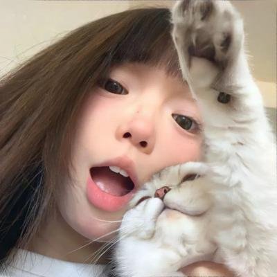 四十四只石狮子